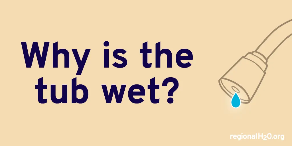 Illustration of a leaking showerhead next to the text, “Why is the tub wet?”