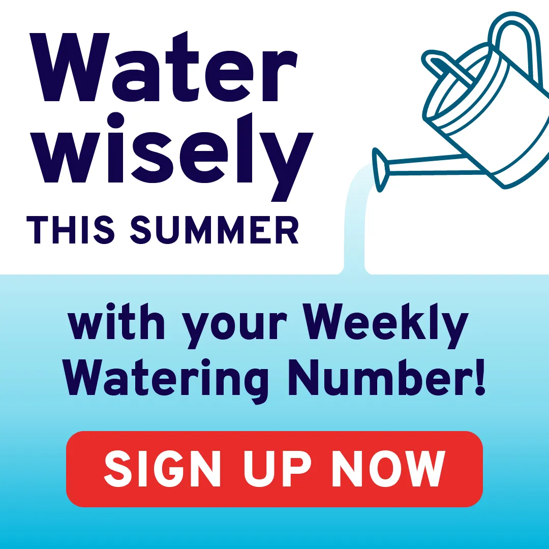 Illustration of a watering can filling up the bottom half of the image with water. Text to the left reads, “Water wisely this summer with your Weekly Watering Number! Sign up.”