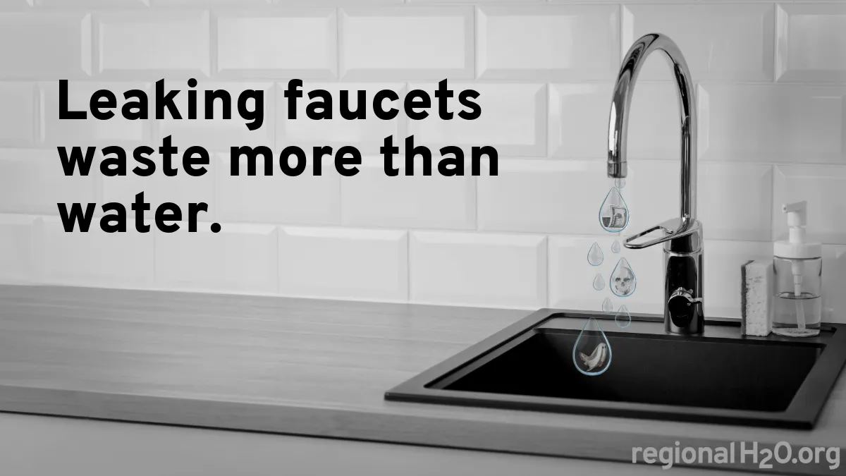 Photograph of a kitchen faucet dripping; drops contain a $20 bill, skull, and ghost. Text to the left reads, “Leaking faucets waste more than water.”