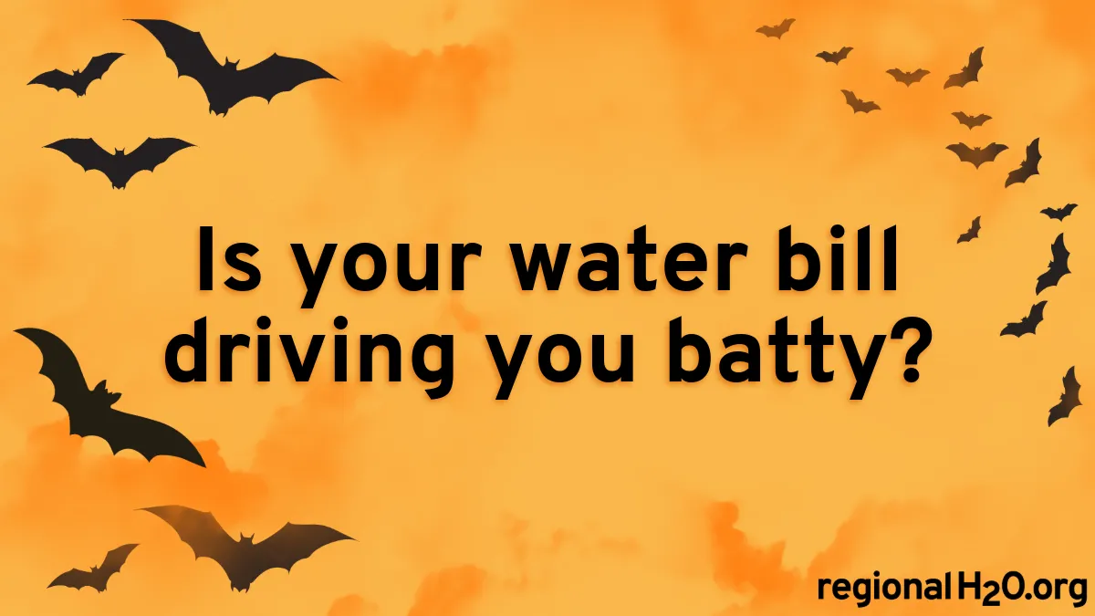 Illustration of black bat outlines against an orange background with the text, “Is your water bill driving you batty?” across the middle of the image.