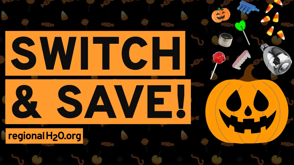Illustration of a pumpkin cut into a jack-o-lantern with candy and water-saving devices raining down around it next to text, “switch & save! regionalH2O.org”